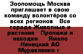 Зоопомощь.Москва приглашает в свою команду волонтёров со всех регионов - Все города Животные и растения » Пропажи и находки   . Ямало-Ненецкий АО,Муравленко г.